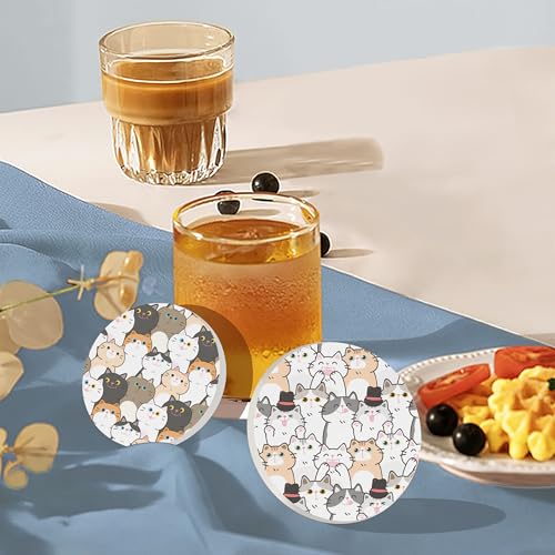 Drink Coasters Set of 6 with Holder