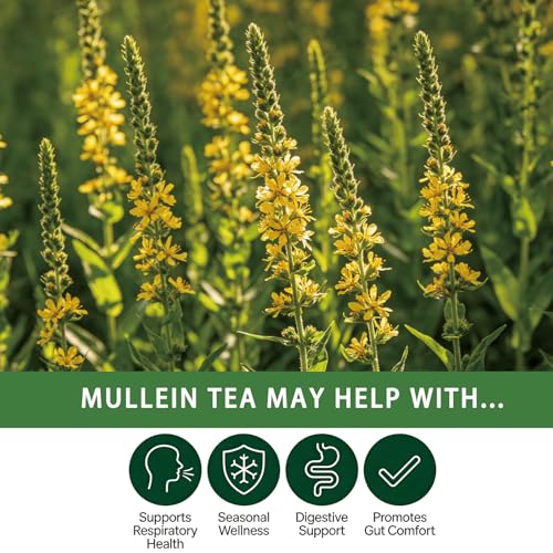 Mullein Leaf Tea Bags (20 Count)