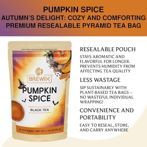 Pumpkin Spice Black Tea Bags (25 Count)