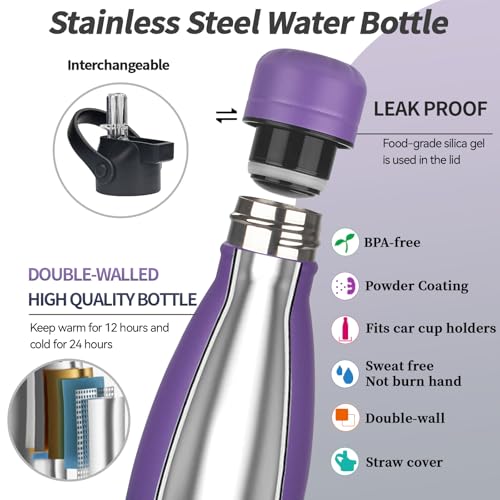 Insulated Water Bottle (2 Count)