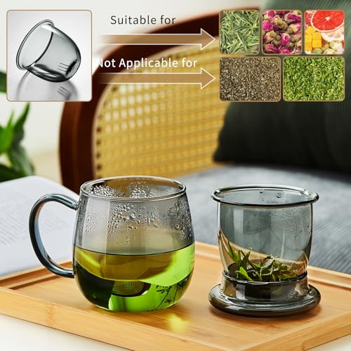 Glass Tea Cup with Infuser and Lid
