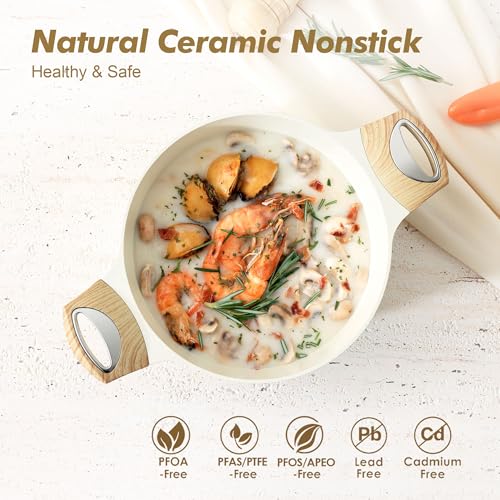 Ceramic Nonstick Stock Pot with Lid
