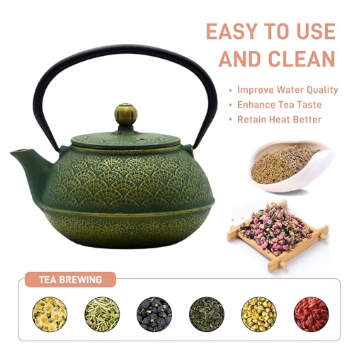 30.4oz Small Cast Iron Tea Kettle Teapot for Stovetop