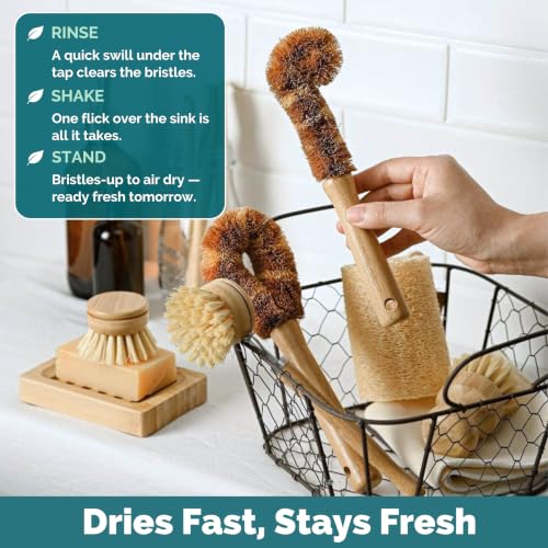 Bamboo Dish Brush Set • 6 Piece with Bottle Brush & Scrubber (6 Count)