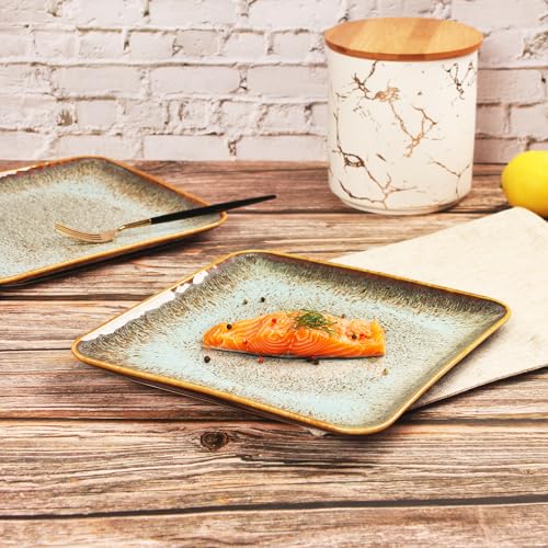 Ceramic Dinner Plates Dish Set (4 Count)