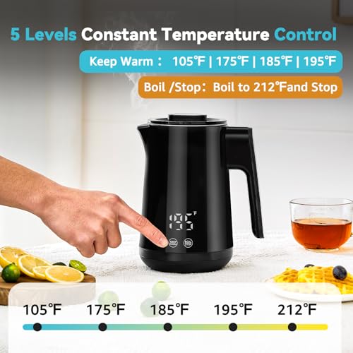 850ml Small Electric Kettle Temperature Control
