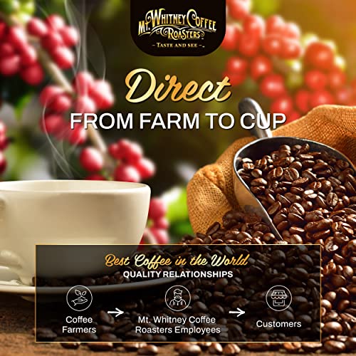 Mt. Whitney Guatemala Adiesto Cooperative Organic Low Acid Coffee (32 Ounce)
