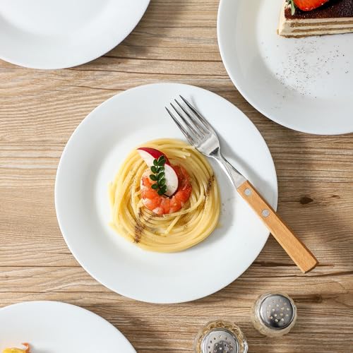 4 Piece Salad Plates Set (4 Count)