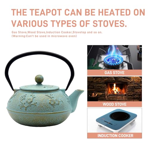 30.4oz Small Cast Iron Tea Kettle