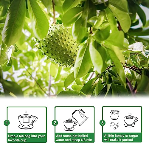 Soursop Leaves Tea (50 Count)