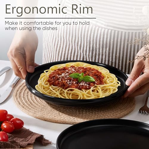 4 Piece Stoneware Dinner Plates Set