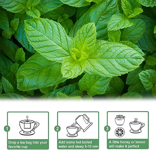 Spearmint Tea Bags (50 Count)