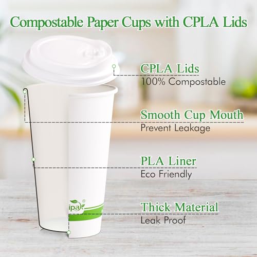 100 Count 16 oz Compostable Paper Coffee Cups with CPLA Lid