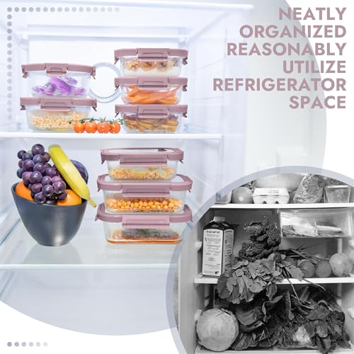 10 Pack Glass Food Storage Containers with Tempered Glass Lids (10 Count)