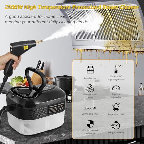 Handheld Steam Cleaner