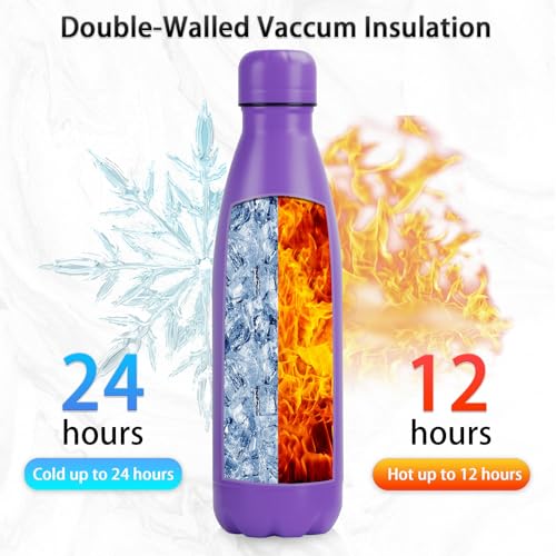 Insulated Water Bottle