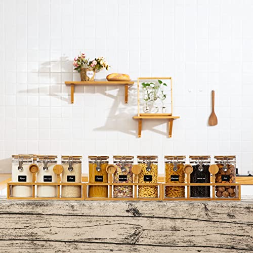 Coffee Container with Shelf (6 Count)