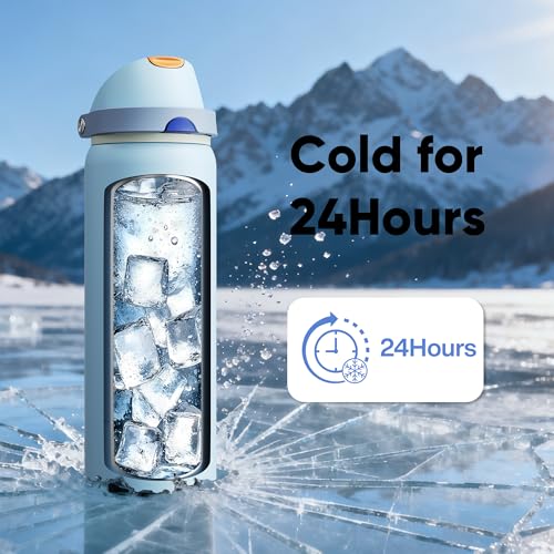 Insulated Water Bottle with Straw Stainless Steel Water Bottle with Push Button Lid