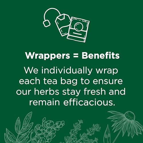 Organic Lemon Balm (48 Count)