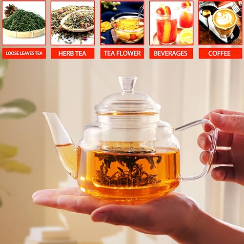 Glass Teapot with Removable Infuser