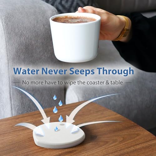 6 Pack Diatomite Absorbent Coasters for Drinks (6 Count)