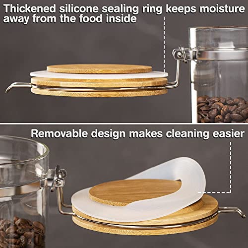 Coffee Container with Shelf (6 Count)