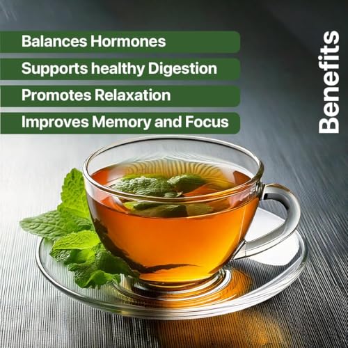 Spearmint Tea (10 Count)