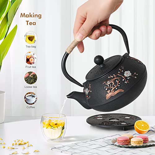 Japanese Style Cast Iron Teapot with Infuser Trivet Tetsubin Kettle