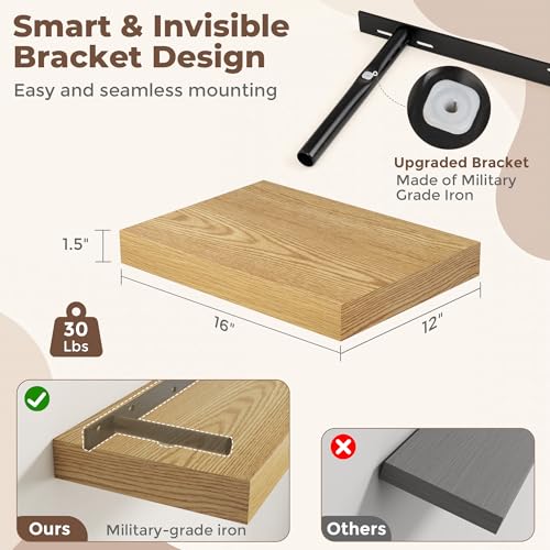 Floating Shelves for Wall (2 Count)
