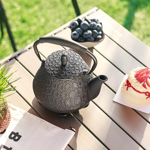 Cast Iron Teapot