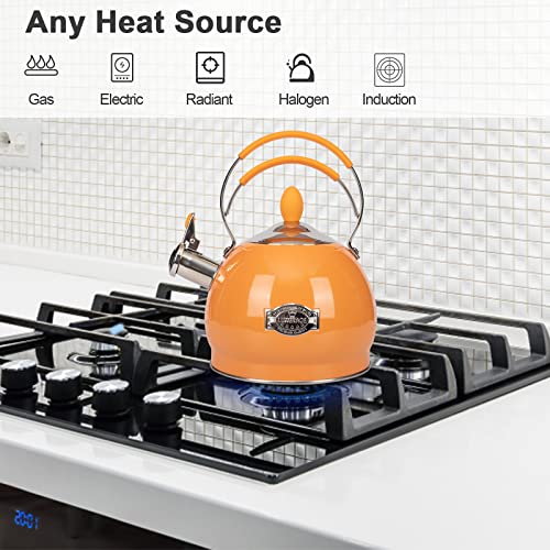 Whistling Tea Kettle Stainless Steel Teapot