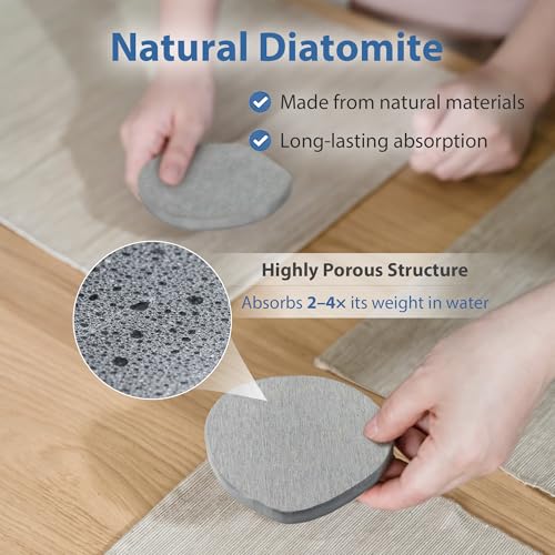 6 Pack Diatomite Absorbent Coasters for Drinks (6 Count)