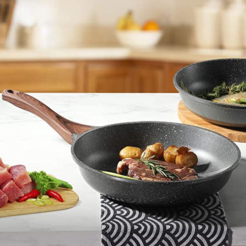 Nonstick Frying Pan Skillet