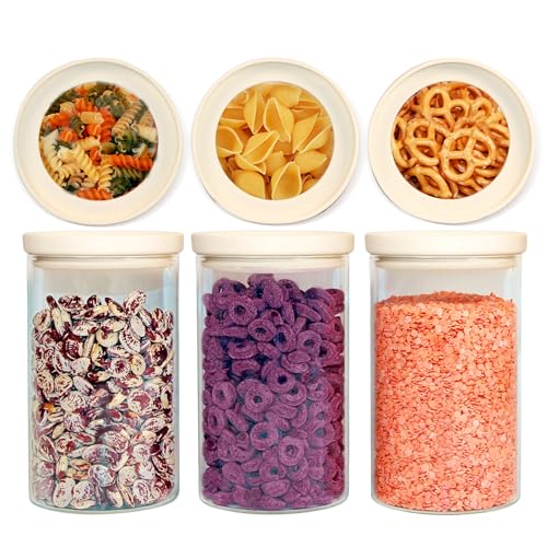 Glass Food Storage Jar with Glass Lid (6 Count)