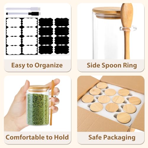 12 Pack 8 oz Round Glass Spice Jars with Lids and Spoons (12 Count)