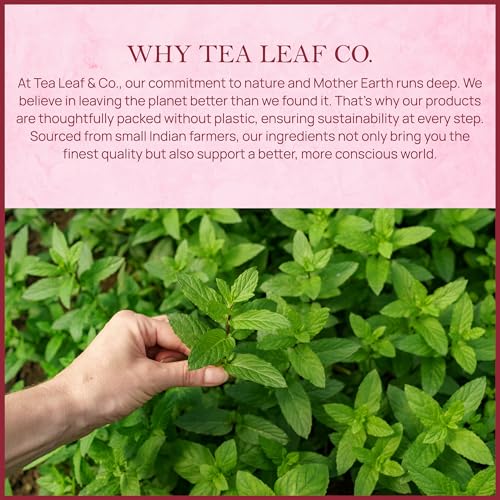 Tealeaf & Co. Orange Ginger Mint Tea Blended with Fresh Herbs and Spices (7.055 Ounce)