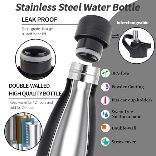 Insulated Water Bottle (2 Count)