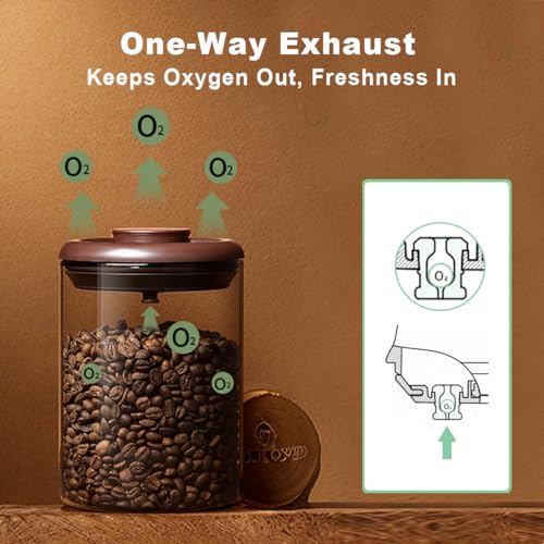 Glass Coffee Canister 900ml x 2 Jar (2 Count)