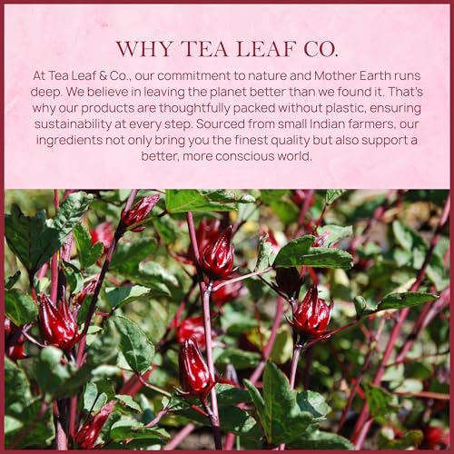 Tealeaf & Co. Hibiscus Tea with Hibiscus Flowers Extract (7.055 Ounce)