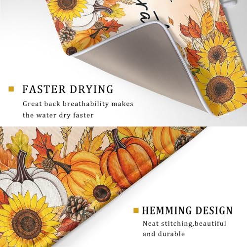 Autumn Pumpkins Dish Drying Mat for Kitchen Countertop