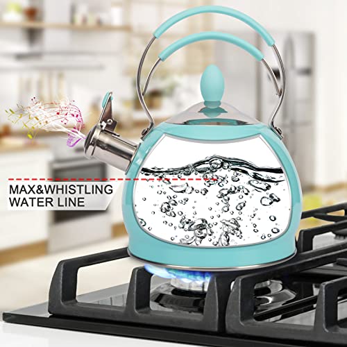 Whistling Tea Kettle Stainless Steel Teapot
