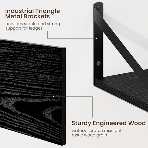 Floating Shelves for Wall (2 Count)