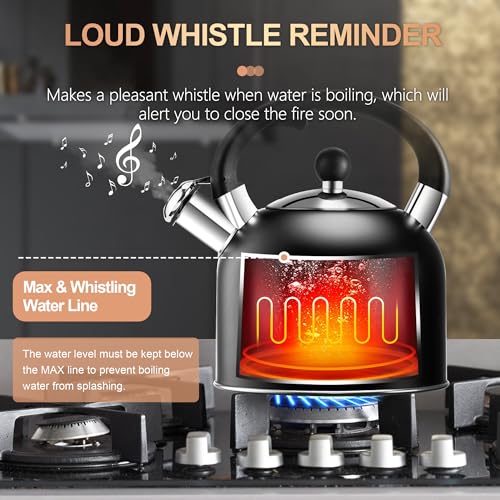 Tea Kettle 3.17QT Stainless Steel Whistling Tea Pot