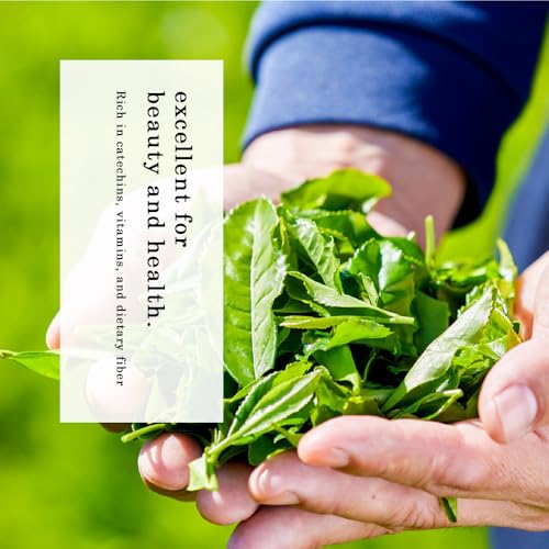 Organic Sencha (3.5 Ounce)