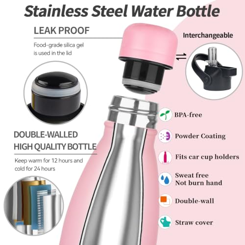 Insulated Water Bottle (2 Count)