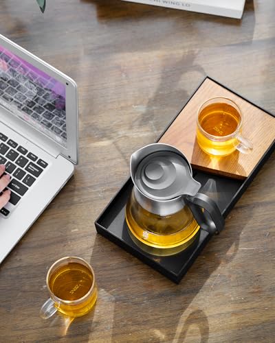 Glass Teapot with Infuser with 2 Cups for Loose Tea Steeper
