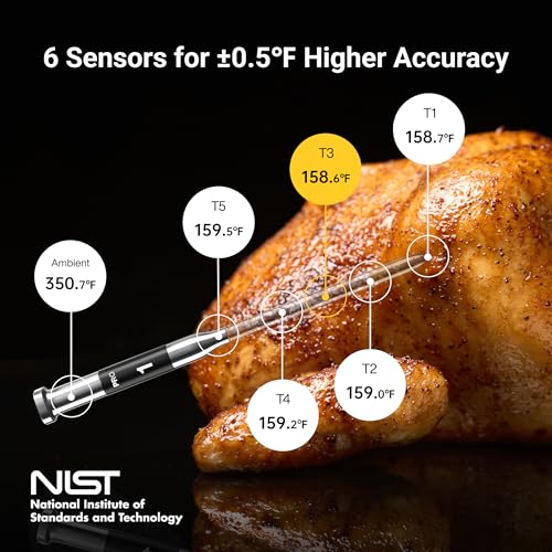 Sub 1G Smart Wireless Meat Thermometer with Standalone Base