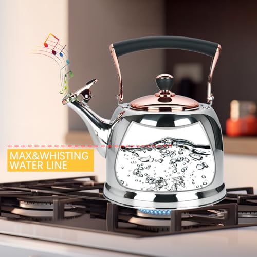 Tea Kettle Stainless Steel Teapot