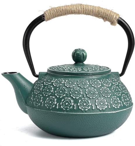 Cast Iron Tea Pot with Infusers for Loose Tea