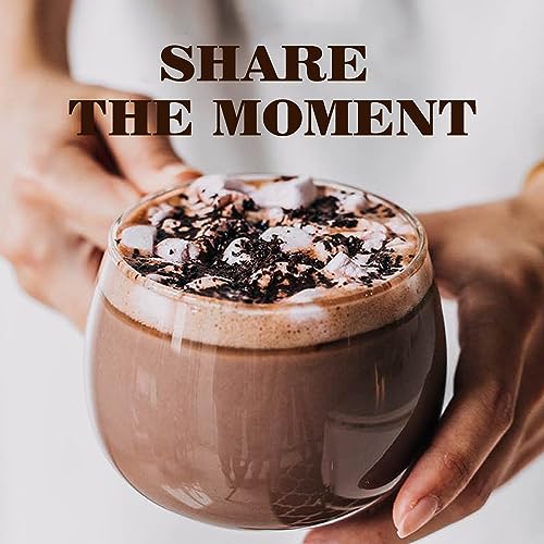 Mushroom Hot Chocolate Mix with Reishi (11.1 Ounce)